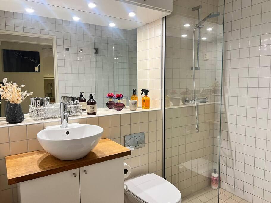 Koselig I Sentrum Av Med Byutsikt! Leilighet Oslo